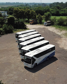 Executive Fleet